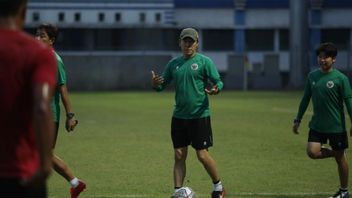 Sebelum Shin Tae-yong, 3 Pelatih Hebat dengan Prestasi Mentereng Ini Juga Gagal Bawa Timnas Indonesia Juarai Piala AFF