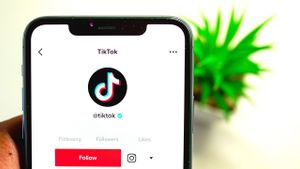 Jangan Bingung, Begini Cara Memblokir Lebih dari Satu Akun TikTok Sekaligus