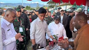Gibran Pastikan Program Quick Wins Berjalan di Papua Pegunungan