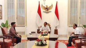 Syahrul Yasin Limpo Akhirnya Tatap Muka Langsung dengan Jokowi di Istana