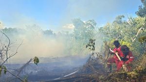 Tim Gabungan Masih Berjibaku Padamkan Karhutla di 5 Daerah Riau