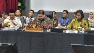 Pola Konsumsi Masyarakat Bergeser ke Online, Airlangga Ungkap Produk Kosmetik dan Rumah Tangga Tumbuh Signifikan