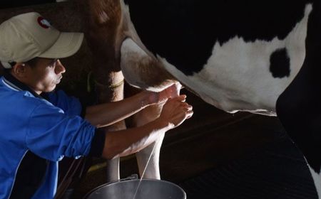 Frisian Flag Indonesia Perkuat Program Peternakan Berkelanjutan dan Gizi Anak