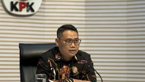 Deputi KPK Soal Rehabilitasi Ira Puspadewi dkk: Hak Prerogatif Presiden, Bukan Preseden Buruk