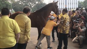 Golkar Hadiahkan Kuda ke Prabowo, Airlangga: Lambang Koalisi Indonesia Maju