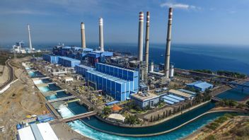 Resulting 653 GWh From Biomass, PLN Ready To Implement Cofiring At 48 PLTUs