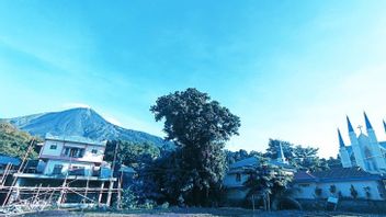 غيموراوه من كاواه 2 غونونغ كارانجيتانغ ، PGA: النشاط من المستوى 2