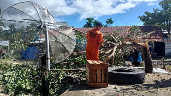 Des Dizaines De Maisons à Aceh Besar Endommagées Par Des Arbres Tombés En Raison De Vents Violents