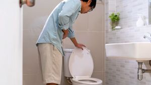 Urin Berbusa Bisa Jadi Tanda Gangguan Ginjal, Kapan Harus Periksa?