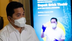 Erick Thohir Angkat Komisaris Baru PT Pelni, Salah Satunya Relawan Jokowi