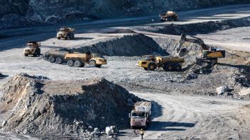 Terimbas Penundaan Ekspor Konsentrat, Pendapatan Amman Mineral Ambles 78 Persen