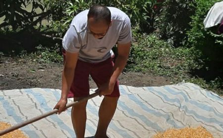 Berbagai Kesibukan Mantan Pegawai KPK Setelah Didepak Akhir September Lalu, Ada yang Jualan Nasi Goreng Hingga Bertani