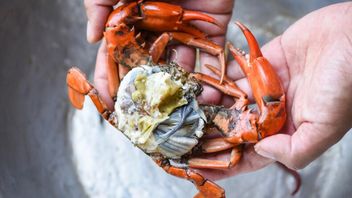 5 Ways To Clean Crab So You Can Cook It Deliciously, Throw A Number Of Sections