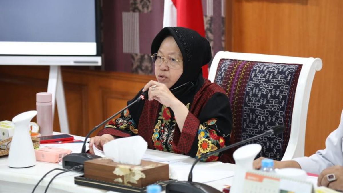 Mensos Risma Tegaskan Penyelidikan Kasus Pemotongan BLT BBM