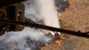 Korban Kebakaran Hutan di Maui Hawaii Bertambah Jadi 53 Orang