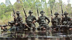 DPR akan Rapat Gabungan Bahas Perpres TNI Atasi Terorisme