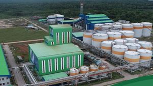 Kinerja Kuartal I Positif, Citra Borneo Utama Targetkan Pendapatan Rp13 Triliun di 2025