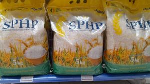 Pengamat: Operasi Pasar SPHP Belum Mampu Jinakkan Harga Beras