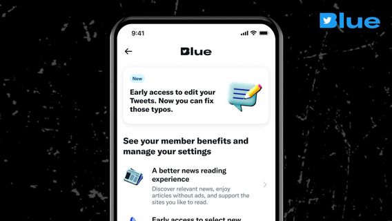 EUのプライバシー規制当局は、最初の協議なしにTwitterBlueが発売されることを恐れています