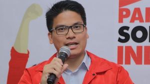 Jadi Pengurus PSI Jakarta dan Kritik Anies, Siapa Michael Victor Sianipar?