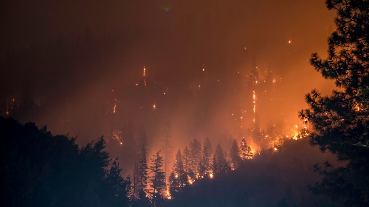 環境問題の大きな敵はまだ土地と森林火災についてです