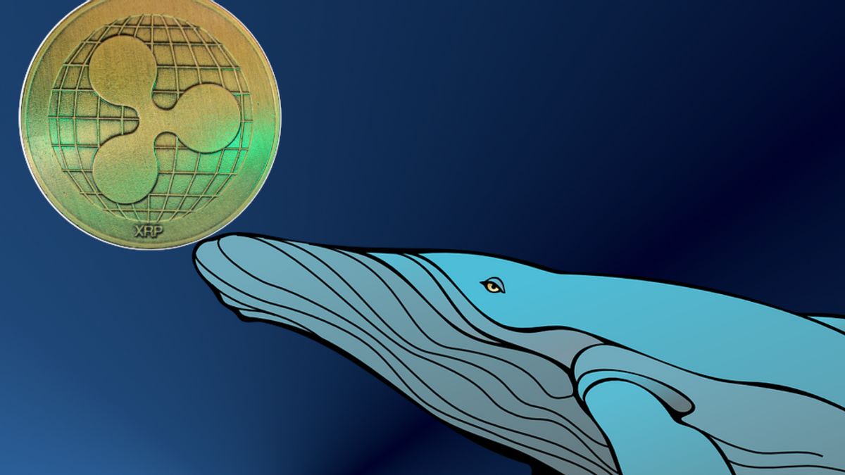 Crypto Whale Begins To Move, Moves Tens Of Millions Of XRP Coins