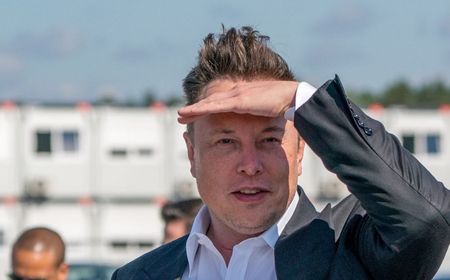 Elon Musk: Bubble Bitcoin dan Ethereum Kian Meninggi