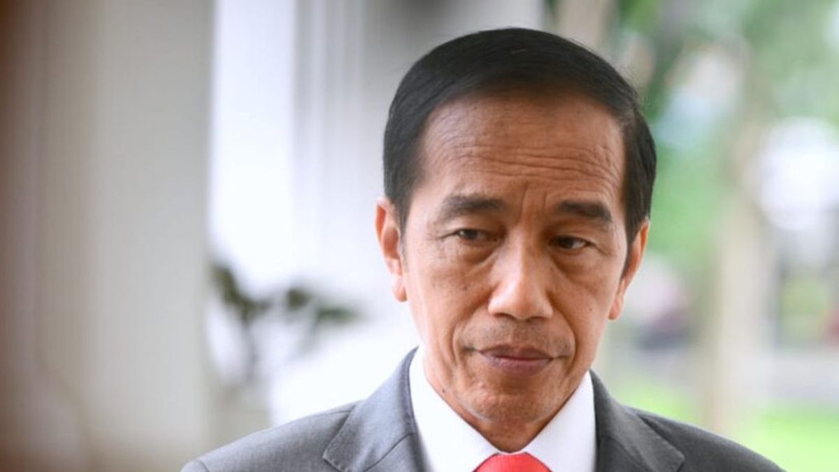 Jokowi ke Bos Ciputra Group: Berapa Hektare Investasi di IKN?