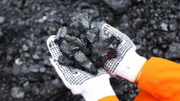 Coal Distribution Constraints In Australia Kerek HBA So 305.21 US Dollars Per Ton