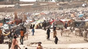 La guerre au Soudan : plus de 10 millions de personnes ont fui la faim