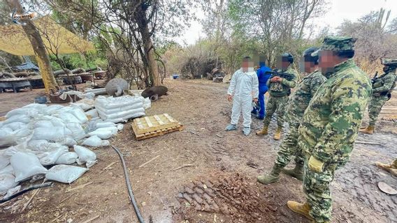 Angkatan Laut Meksiko Gerebek Pabrik Sabu-sabu Terbesar di Sonora