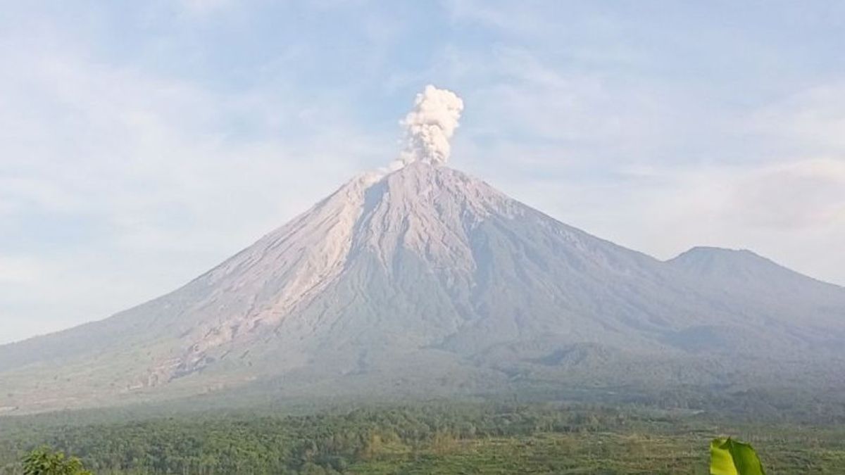 Gunung Semeru 3 Kali Erupsi, Muntahkan Kolom Abu 800 Meter