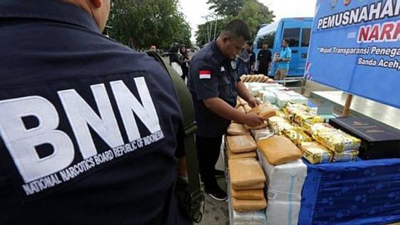 Dari Kasus Pembunuh Gadis Penjual Gorengan, BNN Kaitkan Dampak Narkoba dengan Kekerasan Seksual 