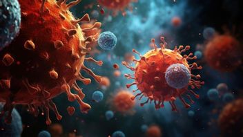 Covid-19 dans le sud de Jakarta est censé être sous contrôle