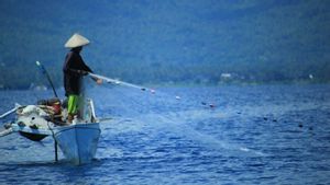 KKP Sebut Tak Ada Kapal Asing Menangkap Ikan di Perairan Nasional