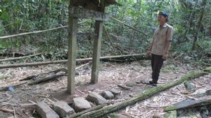 Balai Arkeologi Kalsel Teliti Puruk Amai Rawang di Gunung Mas