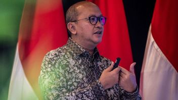 CEO Danantara Rosan Roeslaniは、外国人がBEIの株主になる可能性があると述べた