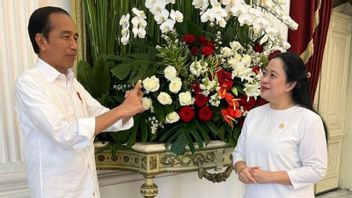 Puan Maharani和Jokowi在国家宫会面时的亲密关系,Kompak穿着白色衣服