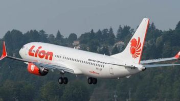 Bird Strike, Lion Air Surabaya Plane Destination Makassar Returns To Juanda Airport