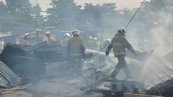 ムムコテラの泥炭地火災は消火されました