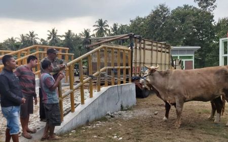 51 Ternak di Gunung Kidul Terkonfirmasi Suspek PMK, DPKH Lakukan Isolasi