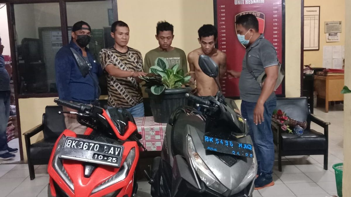 Polisi Ungkap Sindikat Pencurian Bunga di Medan, Pematangsiantar dan Deli Serdang, 3 Pelaku Ditangkap