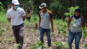PLN Babel Apresiasi dan Dukung Gerakan Penanaman Pohon di Tahura Bukit Mangkol