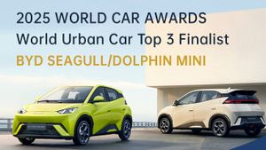 هل تم فتح السلفة سرا من قبل تاجر واحد ، BYD Seagull يدخل سوق السيارات الوطني؟ هذه هي إجابة BYD