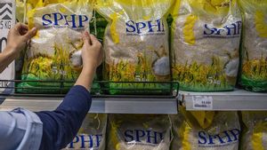 Mekanisme Penyaluran Beras SPHP Mau Diubah Lebih Sederhana, Bisa Pesan Lewat Petugas Bulog