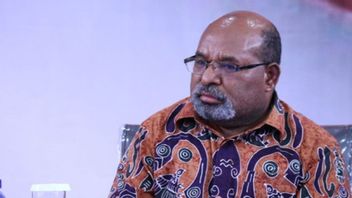 Soal Pimpinan Akan Berangkat Cek Kondisi Lukas di Jayapura, Alexander KPK: Bisa Ketua Atau yang Lain