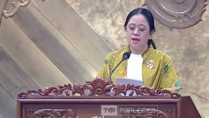 Puan Nilai Putusan MK Soal Keterwakilan Perempuan di AKD Sejalan dengan Isu Kesetaraan Gender