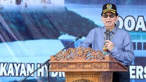 Kehadiran PLTA Kayan Bisa Dongkrak Pertumbuhan Ekonomi Kalimantan Utara