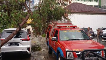 ضربتها الرياح ، سقطت شجرة كبيرة في سيمباكا بوتيه ، وتضررت سيارة واحدة