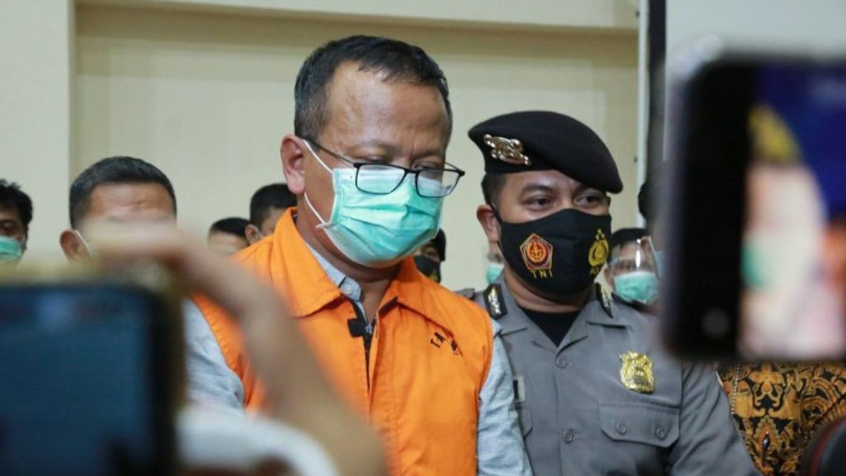 Direktur KKP Ungkap Grup WhatsApp ‘Usaha Lobster’, Isinya Tim Edhy Prabowo